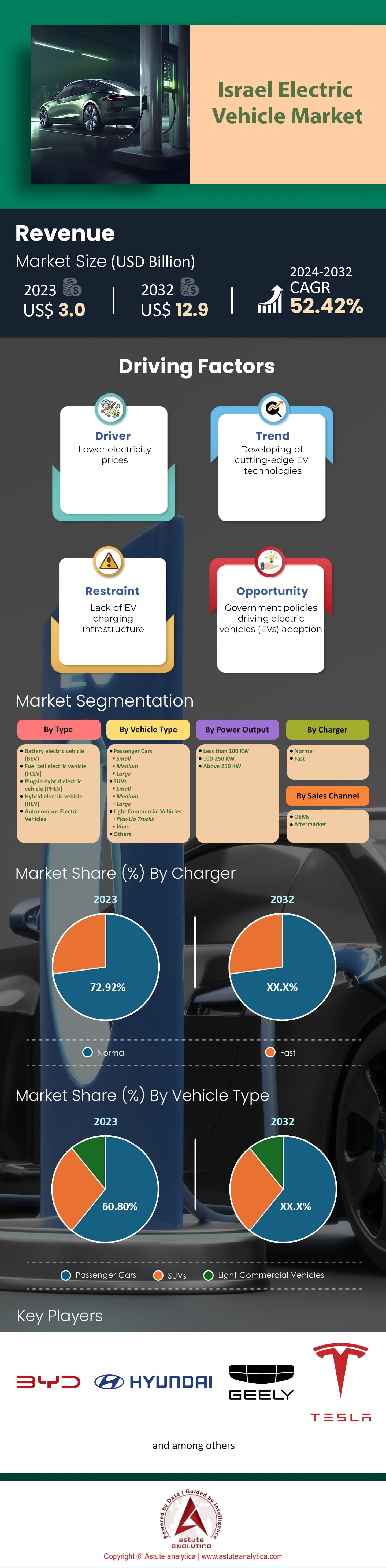 이스라엘 전기 자동차 시장